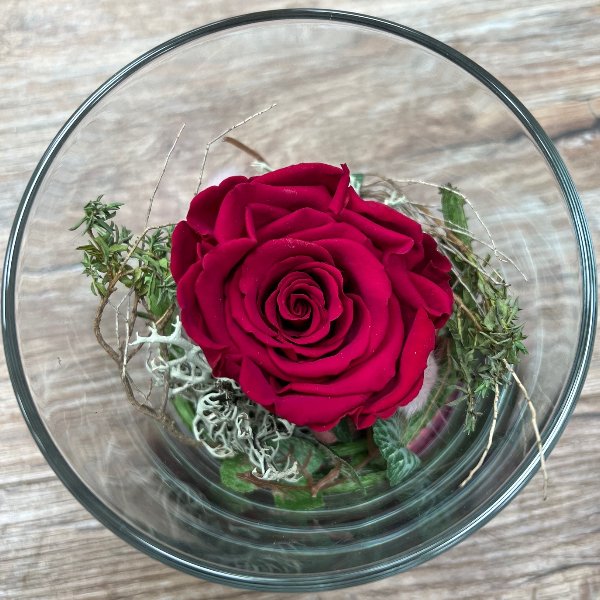 Infinity Rose im Glas - rot Bild 1